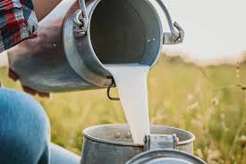 Raw MIlk, Different Types of Milk